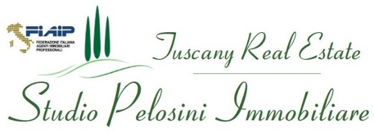 STUDIO PELOSINI IMMOBILIARE