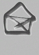 Agenzia immobiliare LA NUOVA CASA IMMOBILIARE