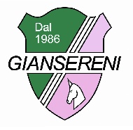 Agenzia immobiliare Gruppo Giansereni Case