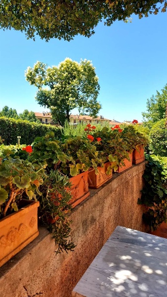 immagine annuncio 5 di 15