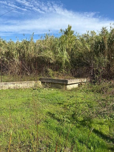 immagine annuncio 5 di 11