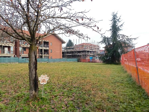 immagine annuncio 1 di 11