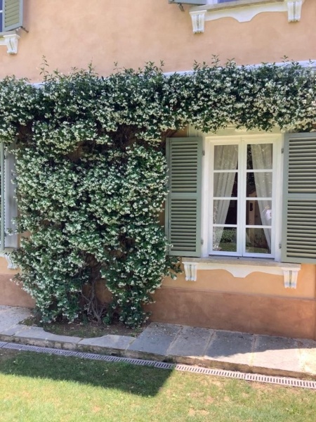 immagine annuncio 7 di 9