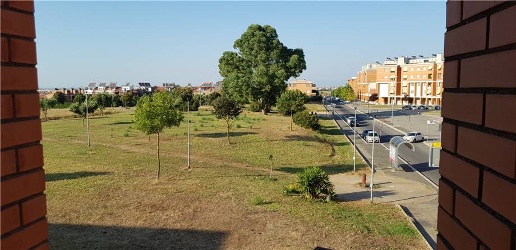 Foto Appartamento in -, Roma in affitto