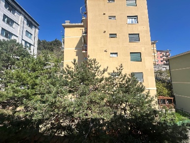 Foto Appartamento in Via Carlo Montanari, Genova in vendita