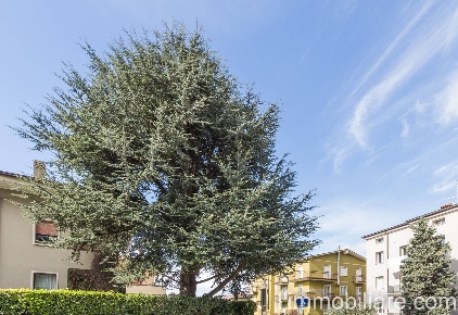 Foto Appartamento in Via Giovanni Battista Cavalcaselle, Verona in vendita