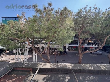 Foto Appartamento in viale ceccarini, Riccione in affitto