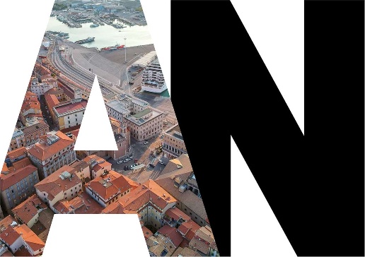 immagine annuncio 6 di 12