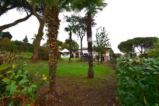 immagine annuncio 8 di 14