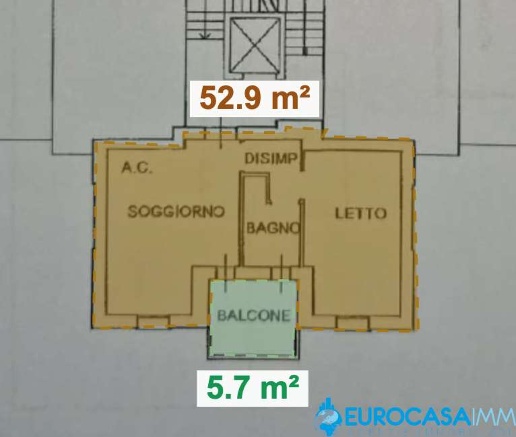 immagine annuncio 12 di 14