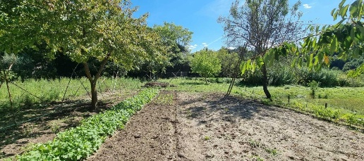 immagine annuncio 2 di 8