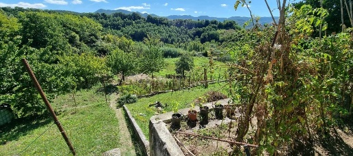 immagine annuncio 5 di 8