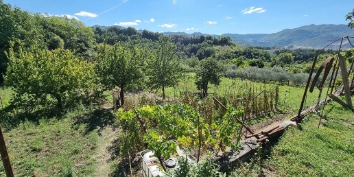 Foto Appartamento in Via Roma, Isernia in vendita