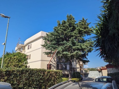 Foto Appartamento a Torre Annunziata in vendita