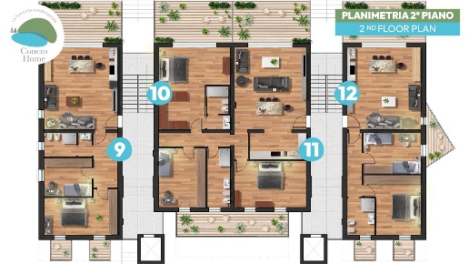 immagine annuncio 11 di 14