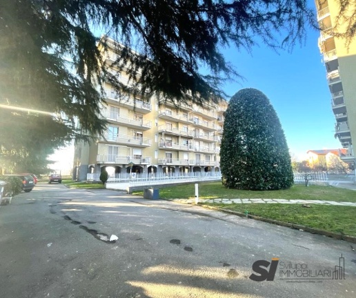 immagine annuncio 11 di 12