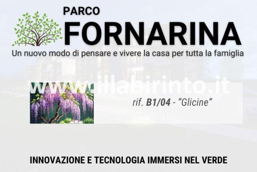 immagine annuncio 3 di 8