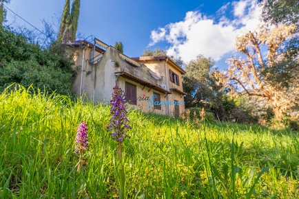 Foto Rustico in Strada Solaro  99, Sanremo Solaro di 160 m² con 3 locali