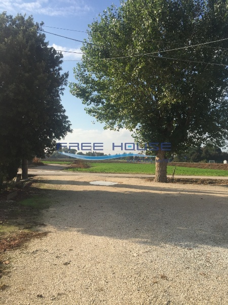 immagine annuncio 3 di 8