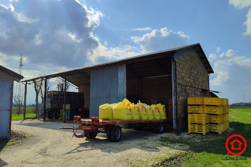 immagine annuncio 8 di 14