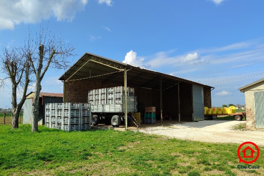 immagine annuncio 9 di 14