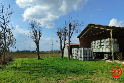 immagine annuncio 10 di 14