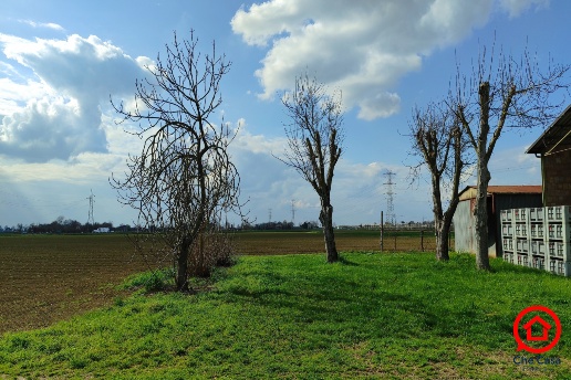 immagine annuncio 11 di 14