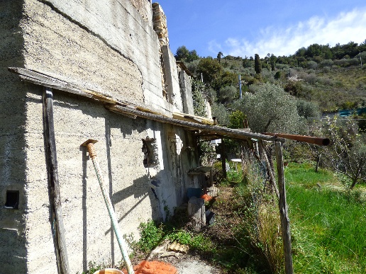 immagine annuncio 4 di 11