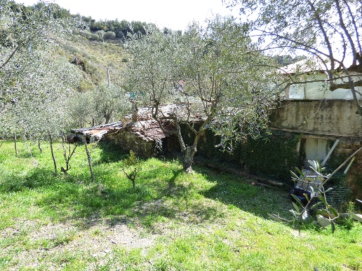 immagine annuncio 7 di 11