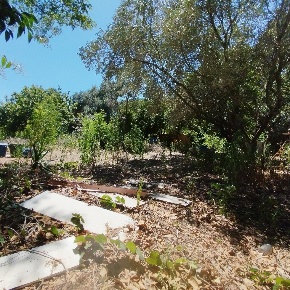 Foto Rustico in via dell gardenie 33, Aprilia di 1000 m² con 5 locali