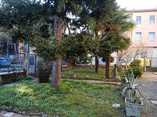 immagine annuncio 5 di 13
