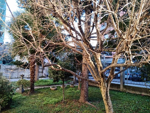 immagine annuncio 9 di 13