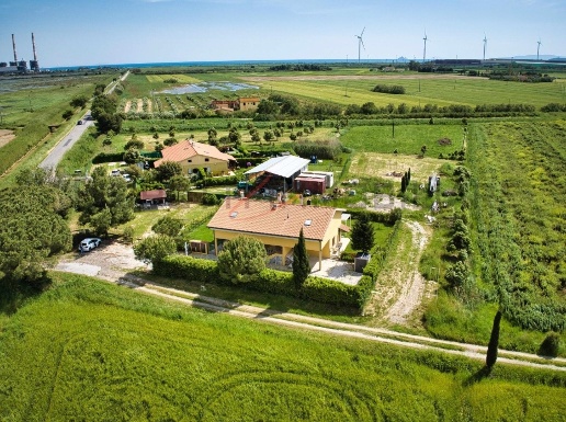 immagine annuncio 12 di 15