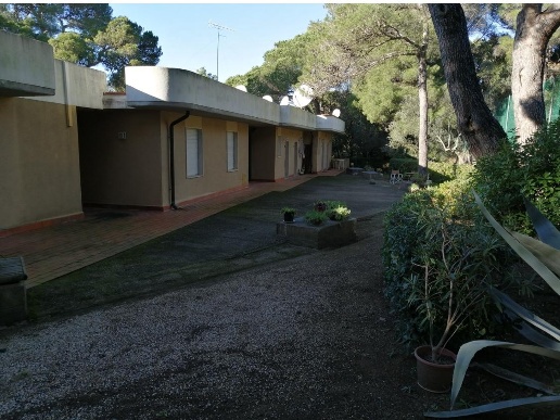 immagine annuncio 6 di 14