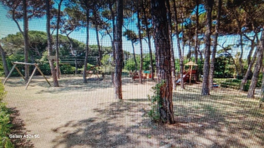 immagine annuncio 9 di 14