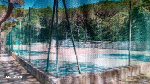 immagine annuncio 11 di 14