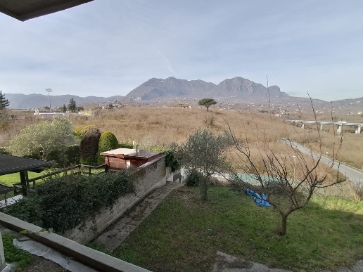 immagine annuncio 4 di 7