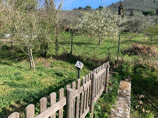immagine annuncio 8 di 15