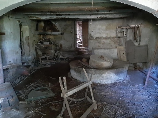 immagine annuncio 5 di 11