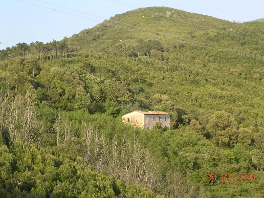 immagine annuncio 8 di 11