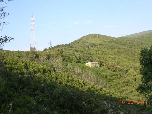 immagine annuncio 10 di 11