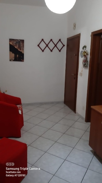 immagine annuncio 2 di 6