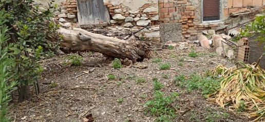 immagine annuncio 4 di 6