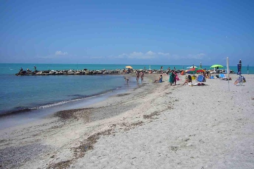 immagine annuncio 11 di 13