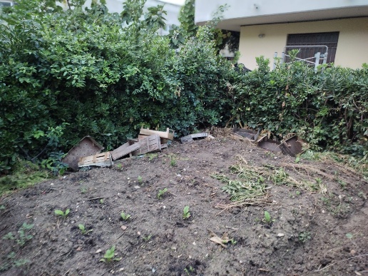 immagine annuncio 3 di 6