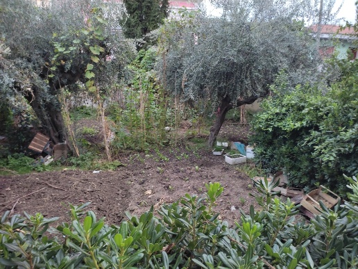 immagine annuncio 4 di 6