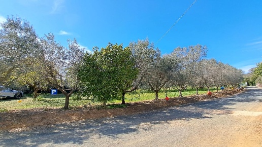 immagine annuncio 4 di 12