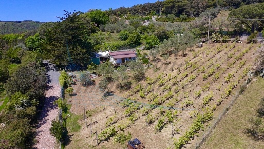 Foto Villa unifamiliare in Via Nuova Zelanda, Rosignano Marittimo di 20 m²