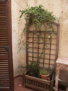 Foto Appartamento in Via de Nicola  12, Rosignano Marittimo di 73 m²