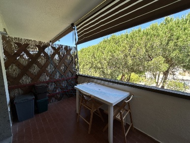 Foto Appartamento in Via Sardegna, Rosignano Marittimo di 38 m² in vendita